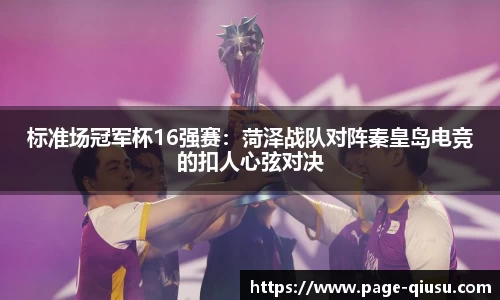 球速体育登录入口